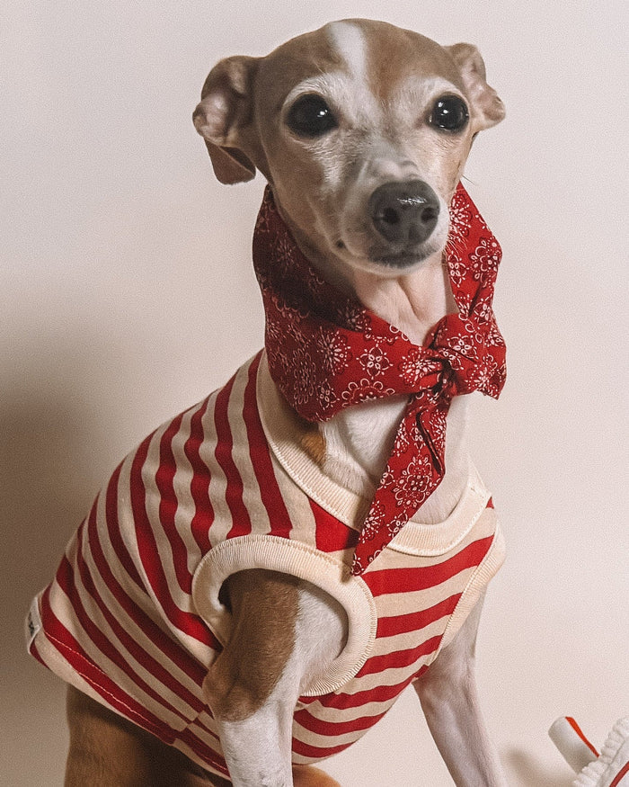 Pup Rally Red + Ivory Striped Dog Tank