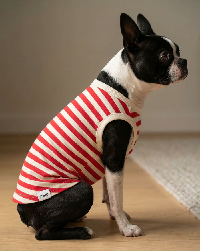 red striped dog tank close up casual dog clothing summer pet outfit