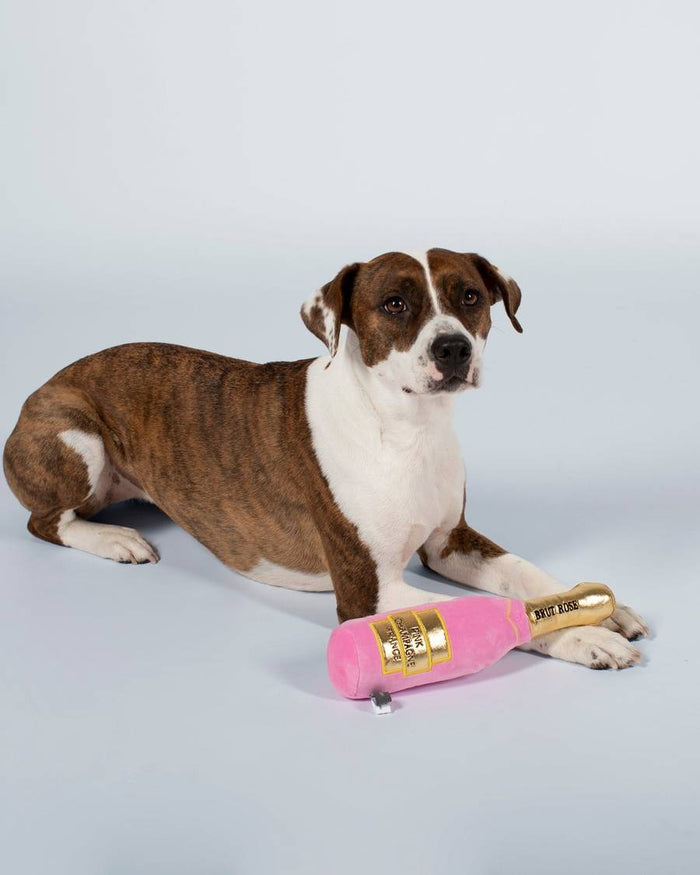 Champagne dog toy. A perfect gift for your ring bearer dog.