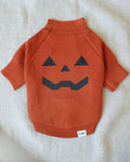 Pupkin Patch Dog Sweater dog sweater with pumpkin