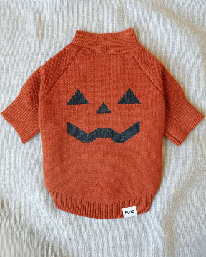 Pupkin Patch Dog Sweater dog sweater with pumpkin