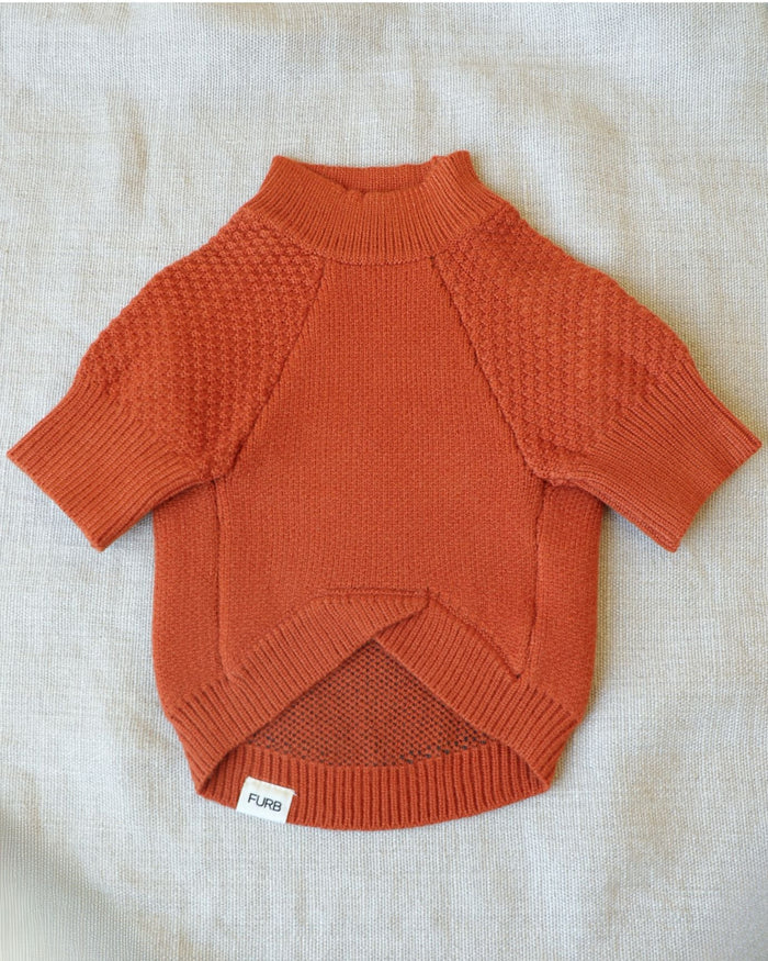 Pumpkin dog sweater – Pupkin Patch Dog Sweater