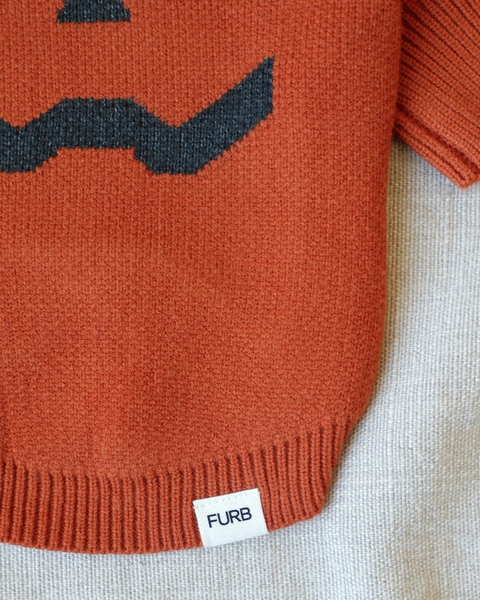 Pupkin Patch Dog Sweater – stylish dog sweater in pumpkin