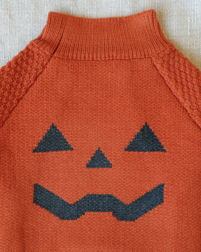 Pupkin Patch Dog Sweater, dog sweater for stylish dogs with pumpkin