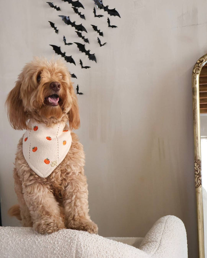 Spice Pumpkin Embroidered dog bandana – Pupkin Spice Dog Bandana