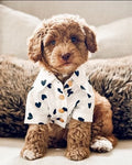 Puppy Love Heart Print Dog Shirt for poodles