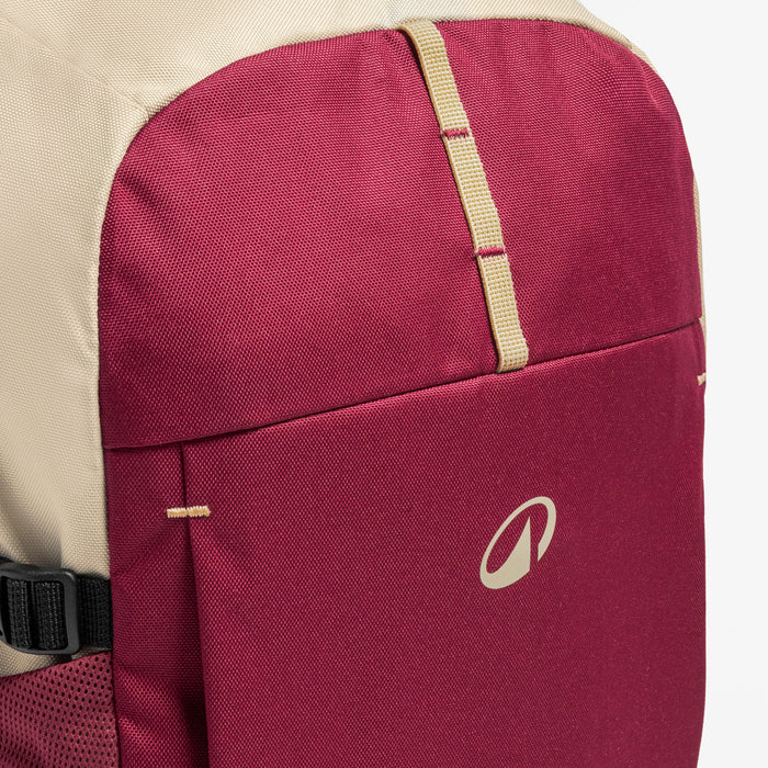 20L hiking backpack Arpenaz 100 - Purple - 8955900