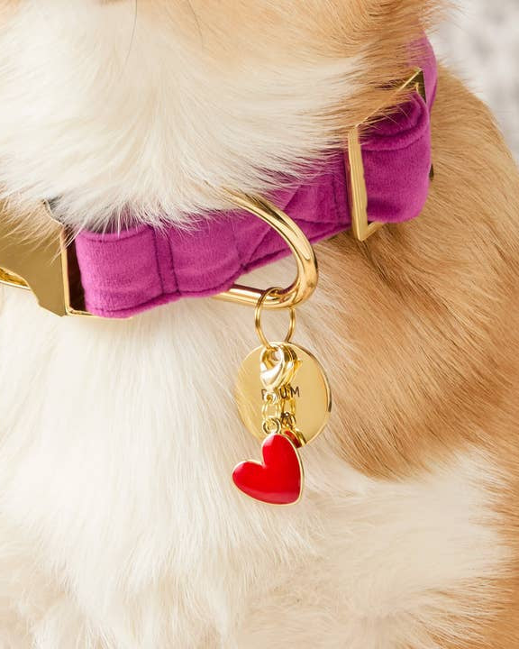 Heart shaped red dog collar charm designed for fun and stylish pet looks, lightweight accessory ideal for small to medium dogs