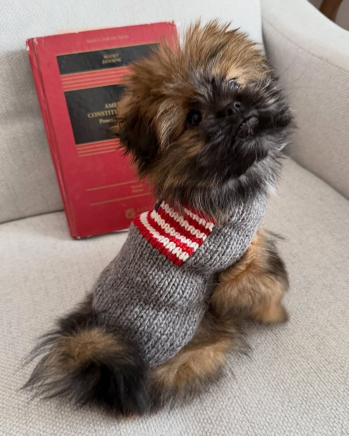 Hand-knit patriotic dog sweater with American flag print, breathable wool construction and comfortable fit for small to medium breed dogs