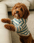 Dusty teal striped dog hoodie made from soft cotton fleece with a sporty athleisure style, comfortable everyday dog apparel for small to medium breeds