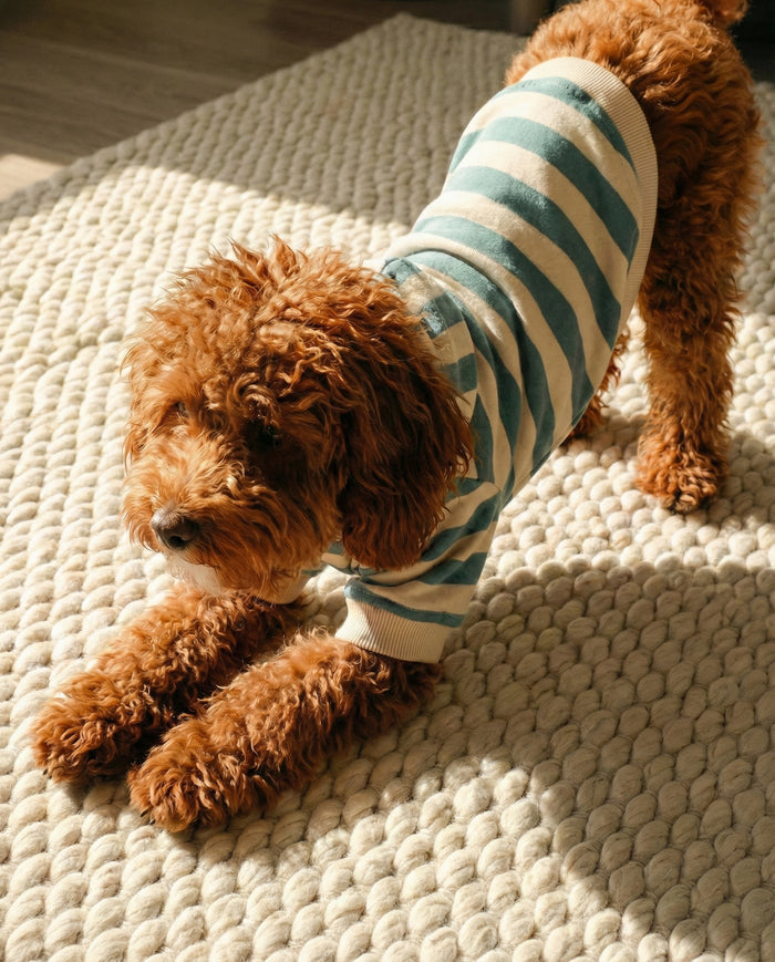 Teal striped dog hoodie with ribbed details and athletic fit, cozy fleece dog sweatshirt for stylish everyday wear
