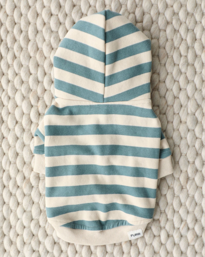Dusty teal stripe dog hoodie for small to medium breeds. Perfect fit for French Bulldogs, Mini Schnauzers, and Shih Tzus.