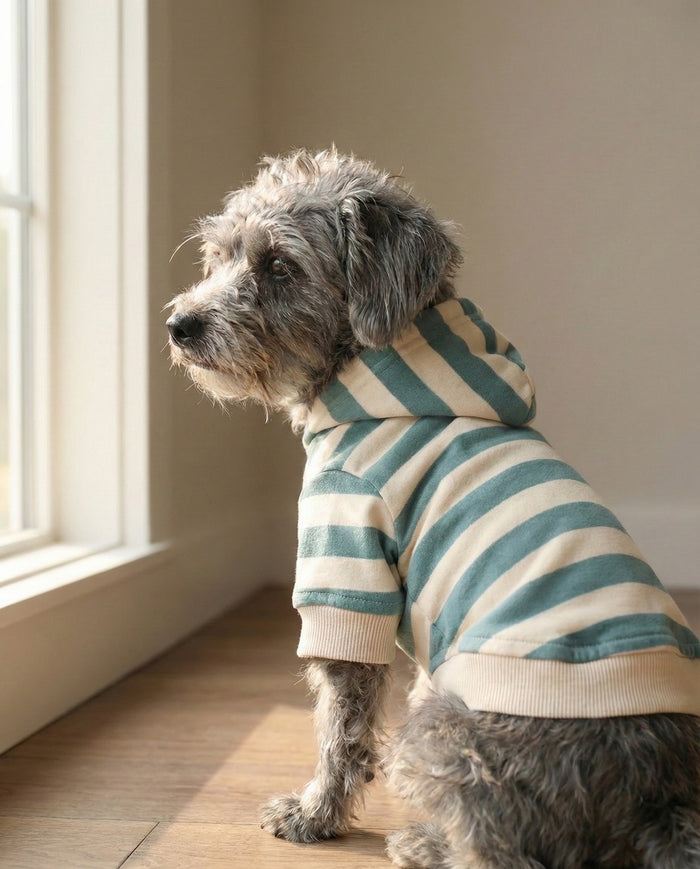 Comfortable striped dog hoodie in dusty teal with soft fleece fabric, casual dog clothing for daily walks and lounging