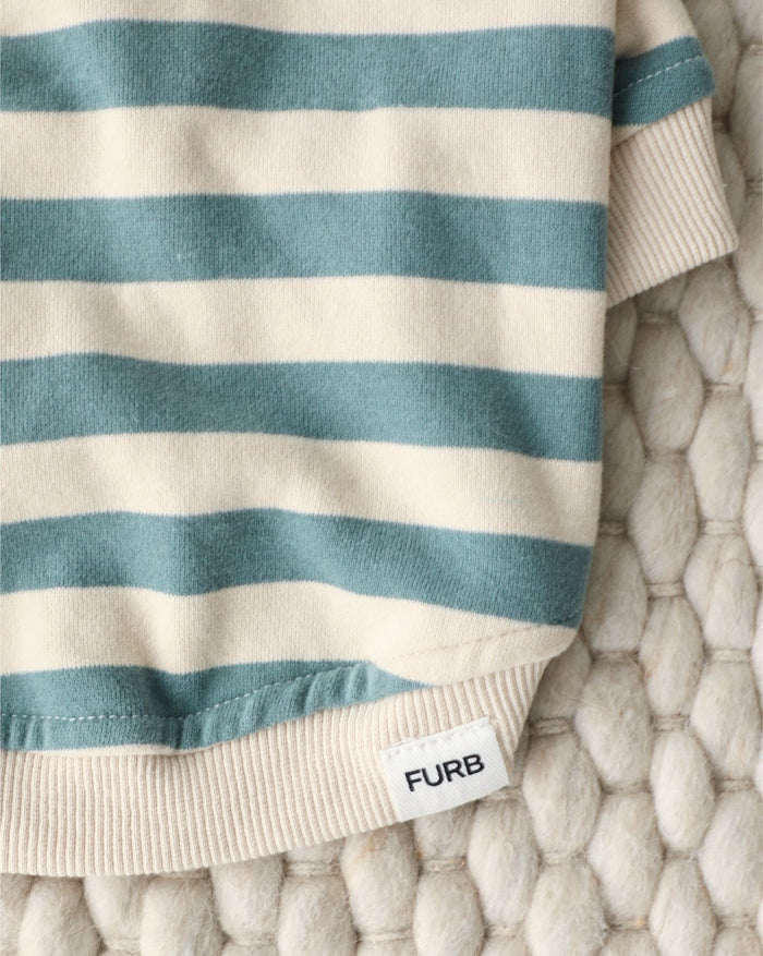 Comfortable Remy teal hoodie for everyday wear. Ideal for Pugs, Mini Aussies, and Cocker Spaniels in cool weather.