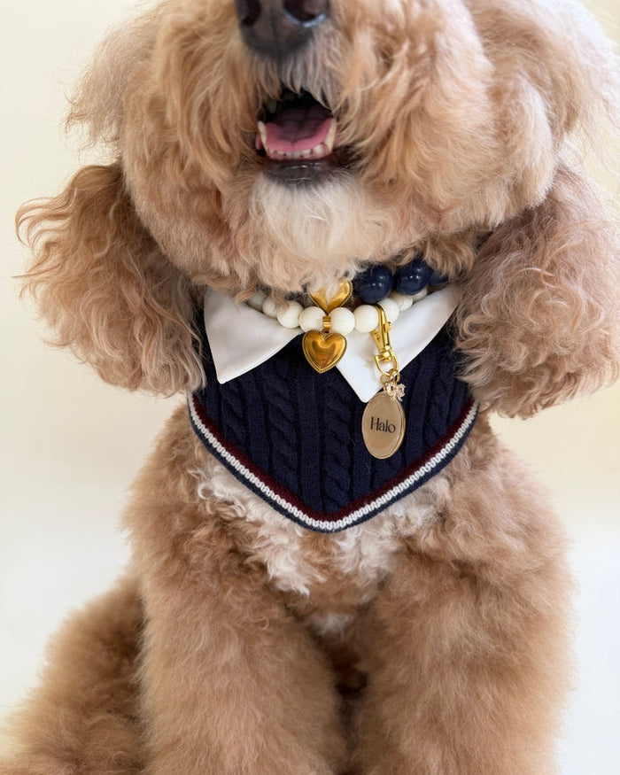 Rhodes Reversible Navy Dog Bandana dog bandana for everyday style, navy cable knit striped