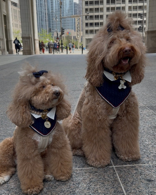 Navy Cable Knit Striped dog bandana – Rhodes Reversible Navy Dog Bandana