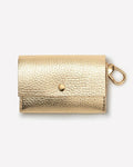 Polished gold collar and leash set, great for chic walks with breeds like Kerry Blue Terriers and Glen of Imaal Terriers
