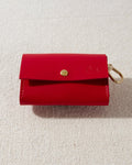 Red dog walk kit worn by small breed dog, designed for both form and function for breeds like Havanese and Boston Terriers
