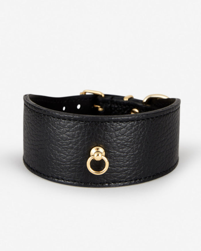 Close-up front of Roma black leather dog collar, elegant wide design
