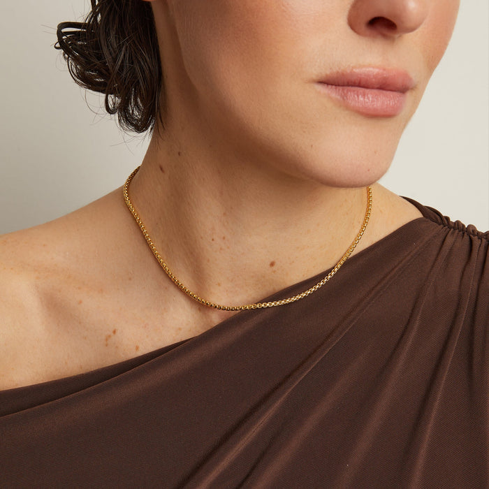 Model. Close-up of a person wearing a gold necklace with a plain background