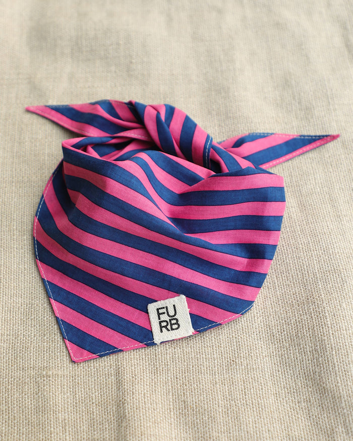 Saltwater Taffy Pink + Blue Stripe Bandana dog bandana with pink blue striped