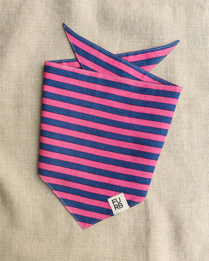 Saltwater Taffy Pink + Blue Stripe Bandana – stylish dog bandana in pink