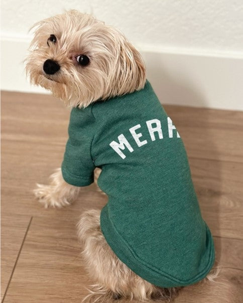 Christmas sweater for chihuahua, pugs, corgi, french bulldog, bichon, frenchi, yorkie.