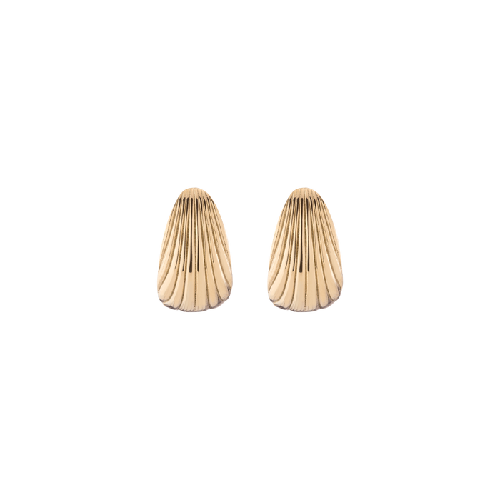 Shell Hinged Hoop Earrings Stainless Steel Yellow Gold First