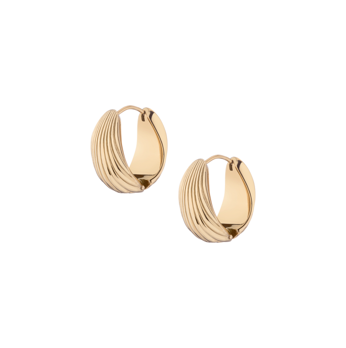 Shell Hinged Hoop Earrings Stainless Steel Yellow Gold