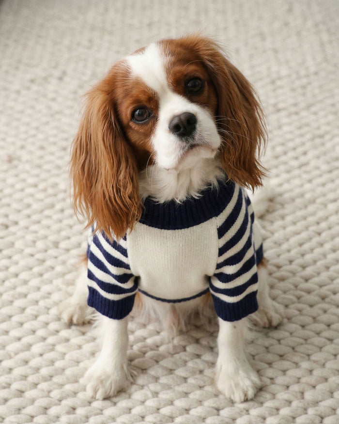 warm dog sweater with maritime inspired style, knit pet apparel for stylish everyday layering