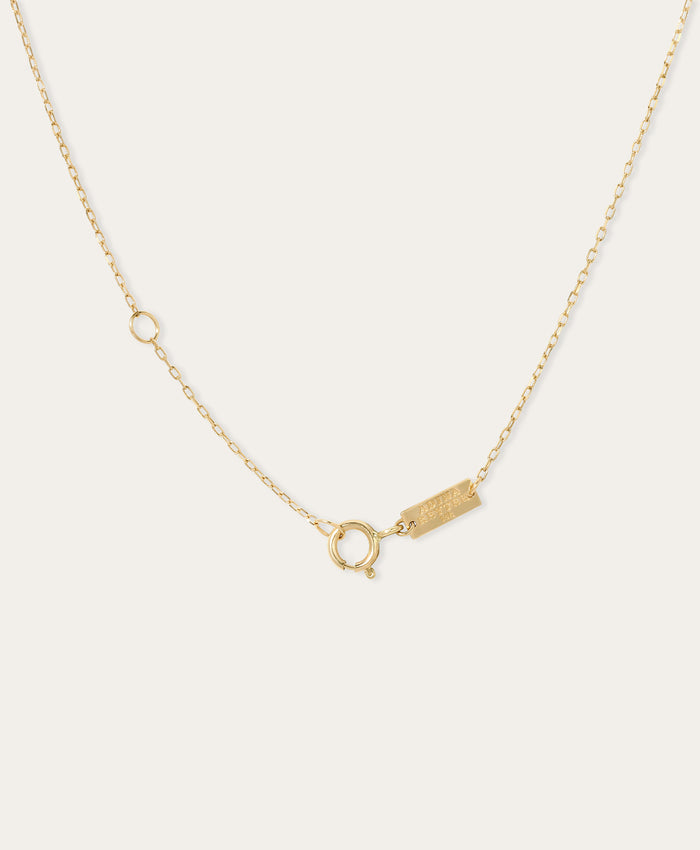 Signature Chain