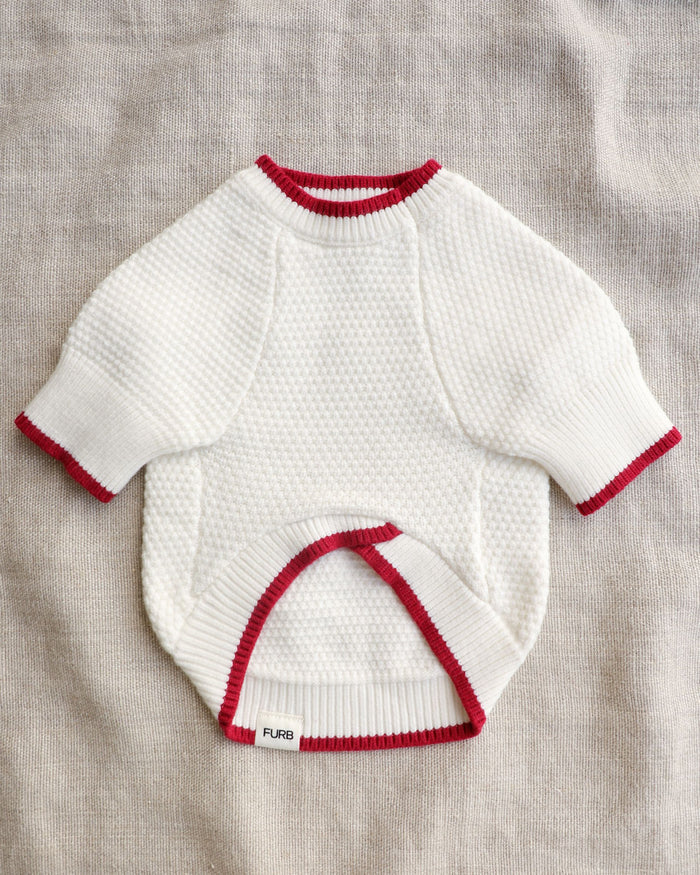 Crochet dog sweater – Sleigh All Day Christmas Dog Sweater