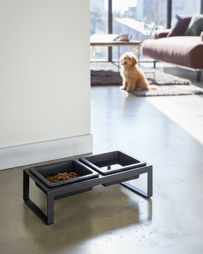 modern raised black dog bowl set ceramic bowls in metal stand elevated feeding station stylish pet setup
