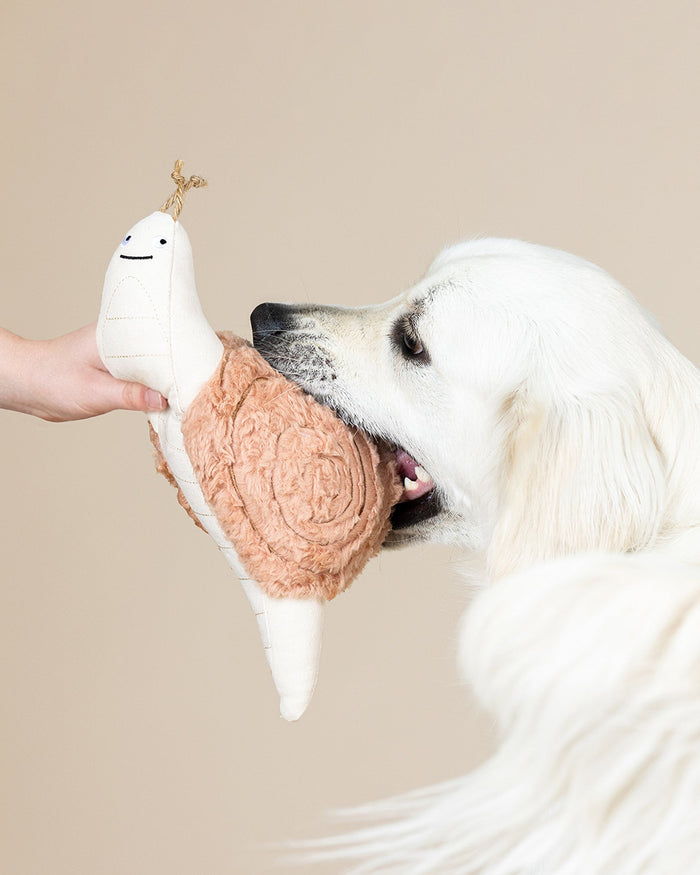 Slow and steady themed plush dog toy for gentle interactive enrichment. Updated May 2026.