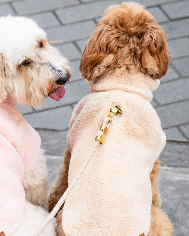 Small-medium dog sherpa jacket in wheat tone. Great for Mini Schnauzers, Pugs, and Cavaliers enjoying outdoor strolls.