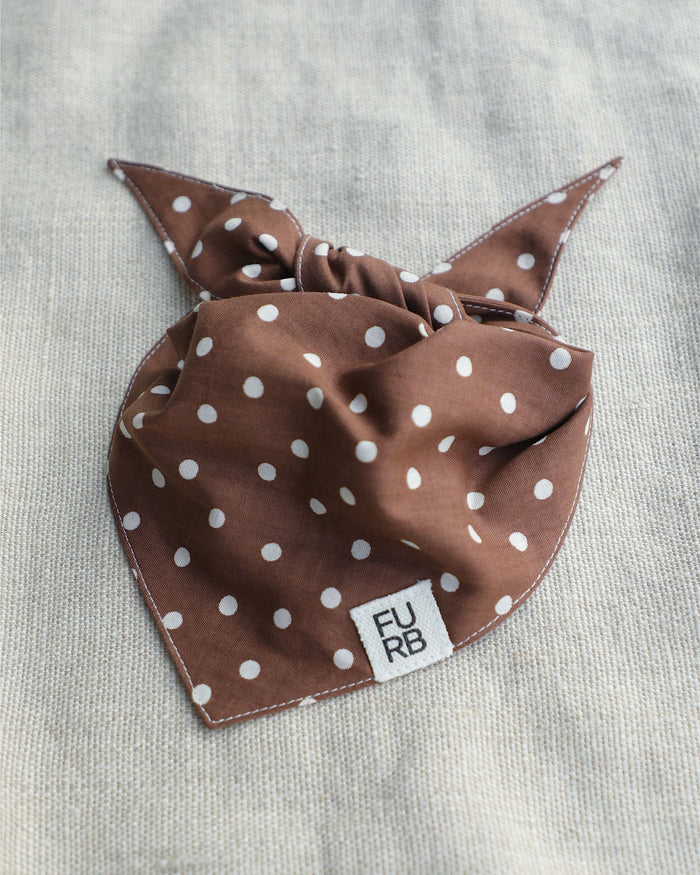 Spot the Cutie Chocolate Dog Bandana dog bandana with chocolate brown