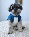 Stay Gold ivory and blue muscle dog t-shirt with breathable sleeveless design, perfect for summer wear on French Bulldogs, Pugs, Corgis, and small dogs
