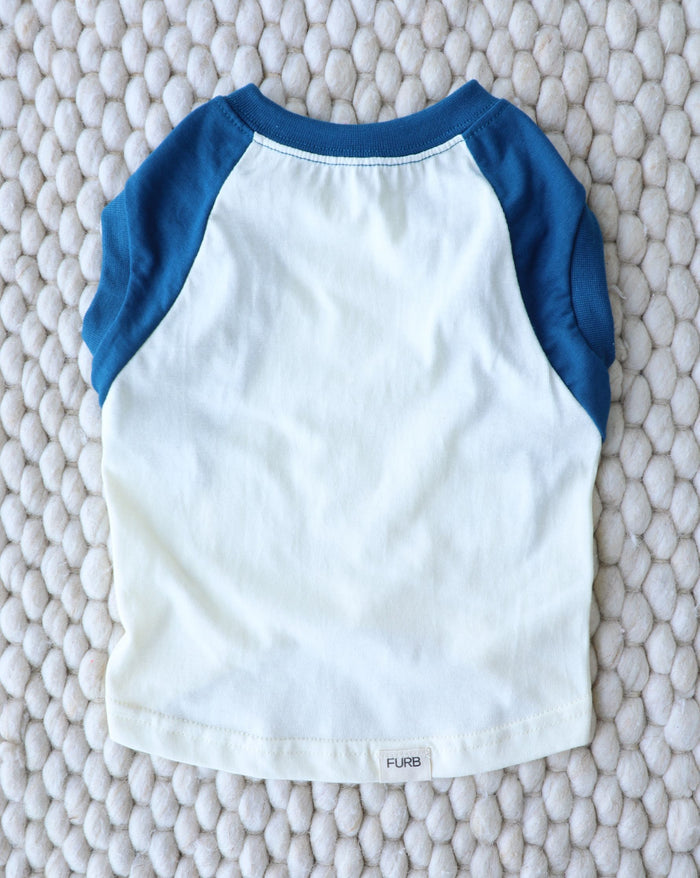 Sleeveless blue dog muscle tee with lightweight fabric, perfect for warm weather walks with Frenchies, Dachshunds, Pugs, and small dogs