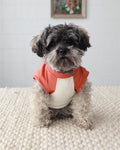 Stay Gold ivory and vintage red muscle dog t-shirt with sporty sleeveless cut, perfect for active French Bulldogs, Pugs, Corgis, and small dogs