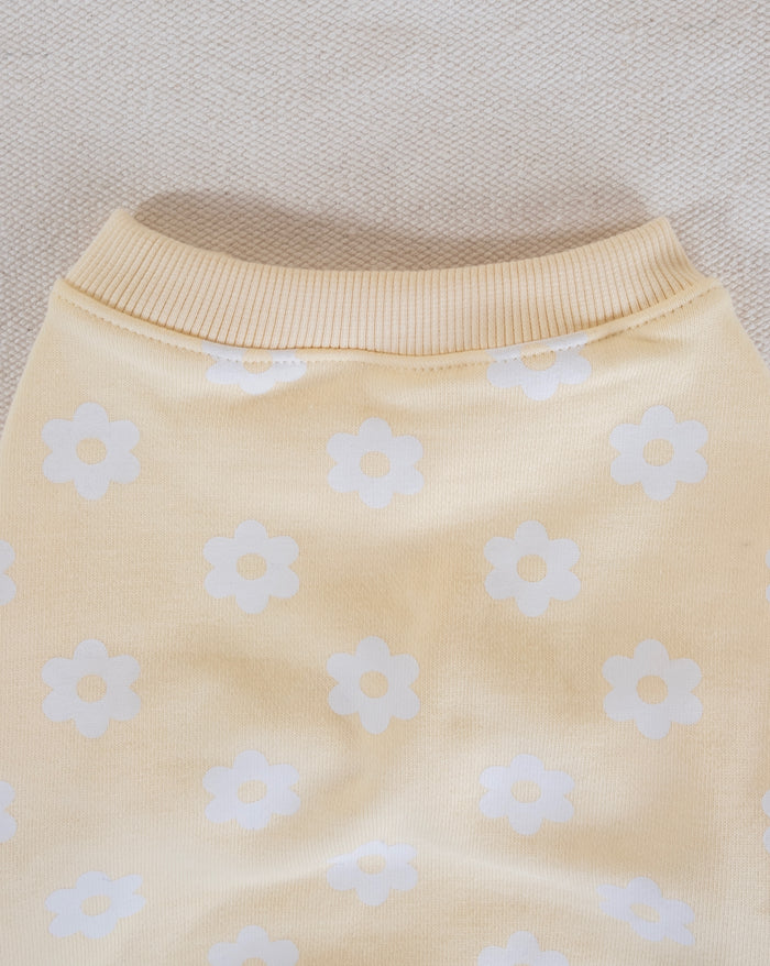 Floral dog sweatshirt, a warm and fashionable choice for small to medium-sized dogs