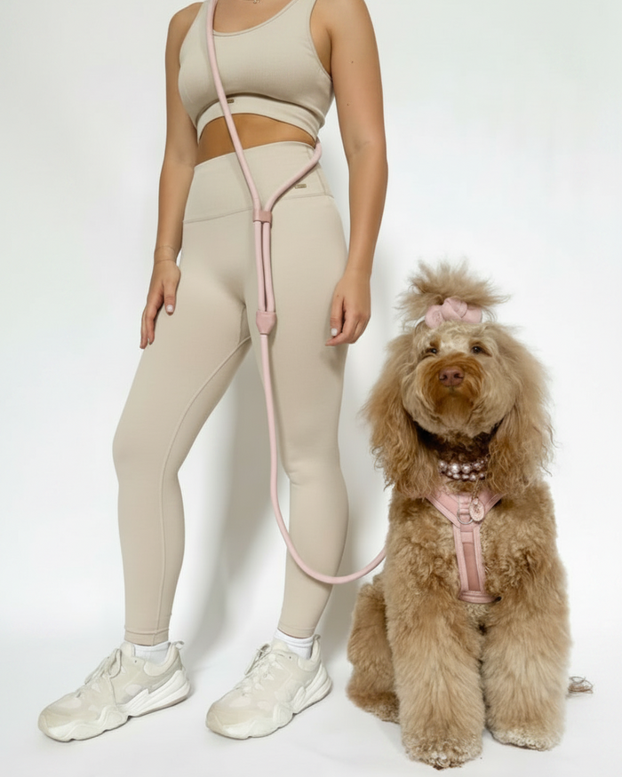 Sunday Stroll Blush Dog Harness – stylish dog harness in blush
