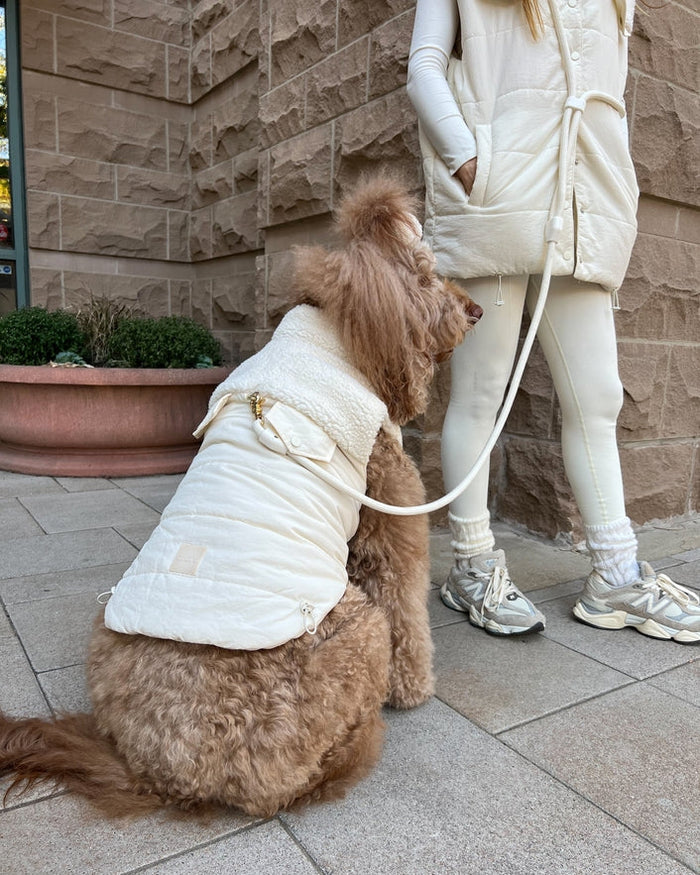 ivory hands free leash close up braided nylon dog leash hands free walking system