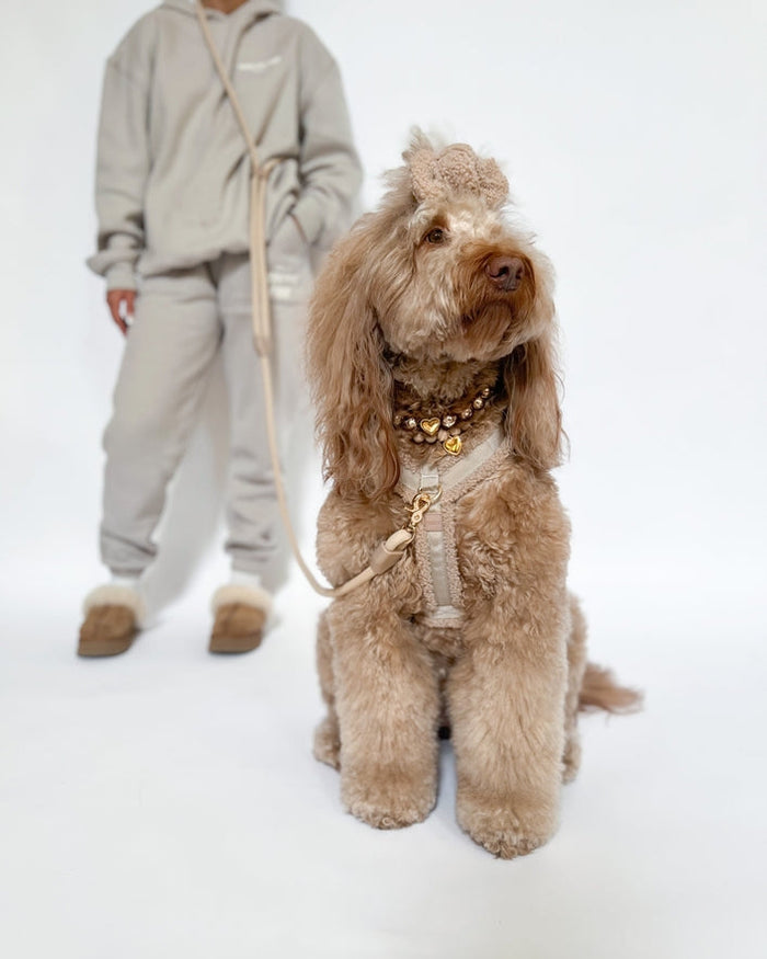 toffee hands free leash close up braided nylon dog leash stylish neutral pet gear