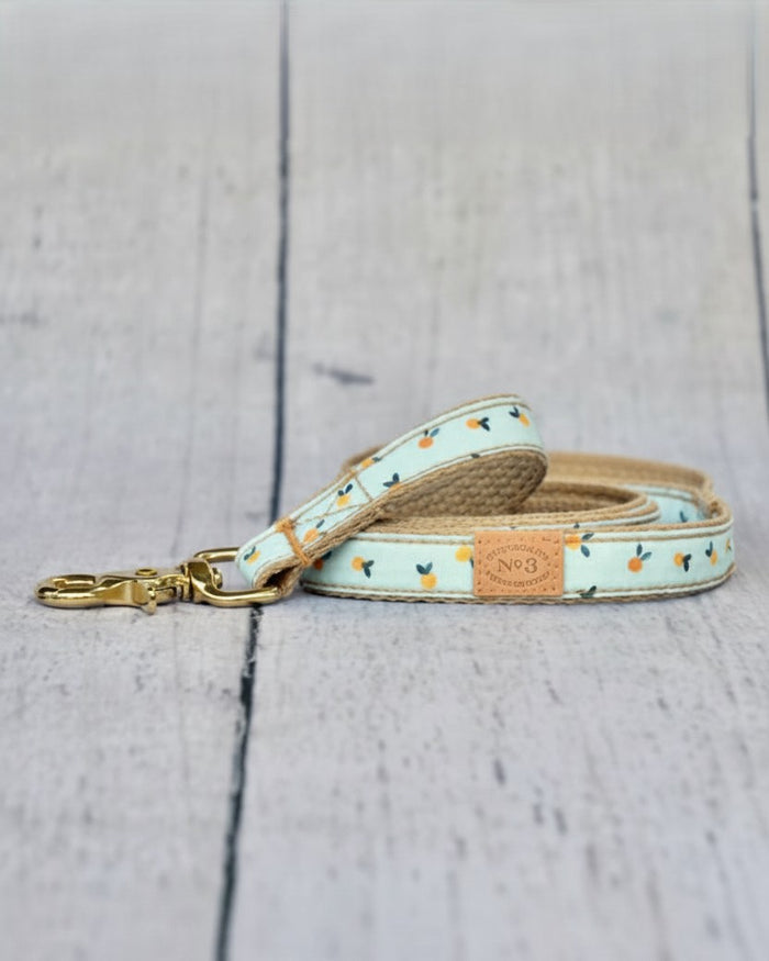 clementine dog leash citrus print dog leash lightweight cotton dog leash brass hardware