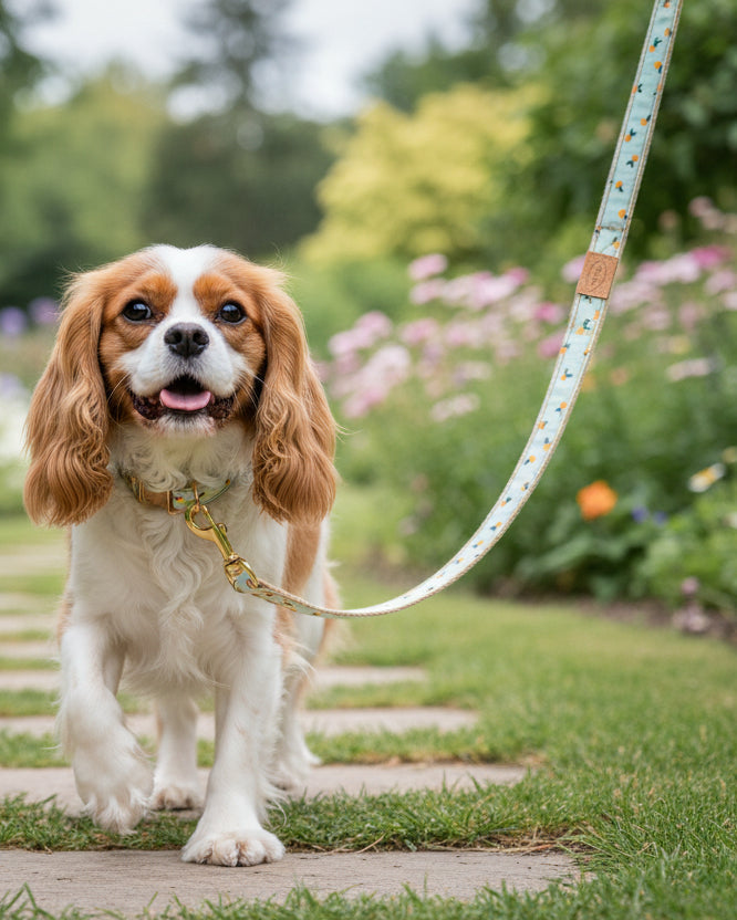 citrus dog leash close up playful orange themed dog leash for everyday walks