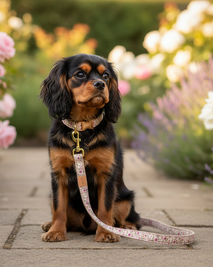 floral dog leash close up soft cotton leash with brass hardware spring inspired design