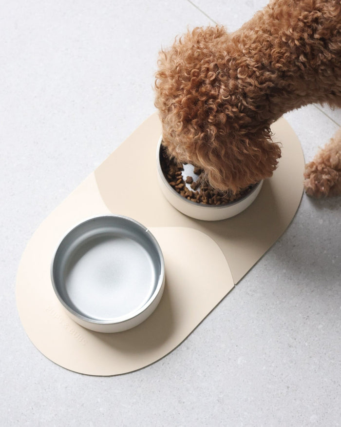 dog mealtime kit stainless steel bowls silicone placemats modern pet feeding set neutral tones