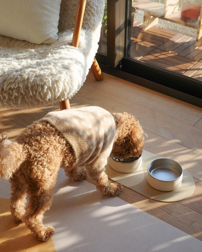 dog feeding kit close up stainless steel bowls with silicone mats modern pet dining set