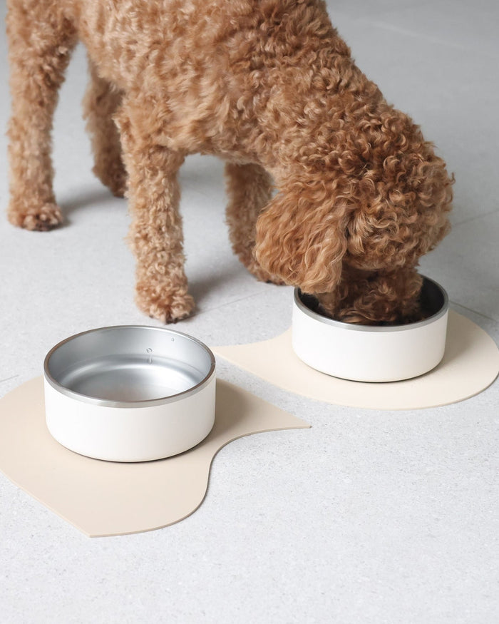 dog bowl placed on silicone feeding mat two tone modern pet dining setup