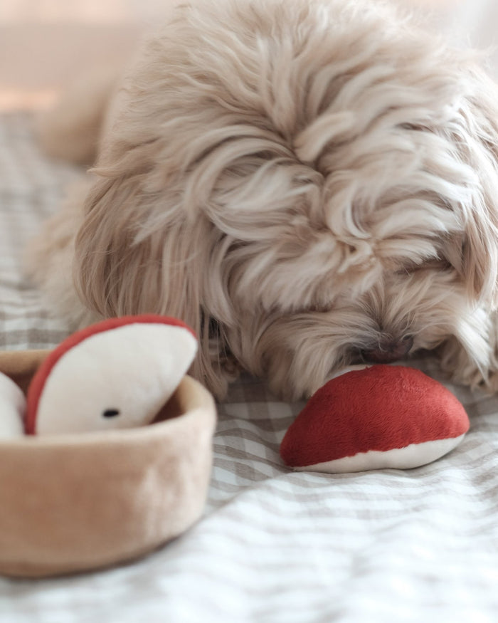 apple pie dog toy top view bakery style snuffle toy for interactive treat search play